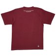 画像2: T-BRITISH BULLDOG <BR>BURGUNDY (2)