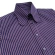 画像3: BEAGLE COLLAR SHIRTS <BR>STRIPE NAVY (3)