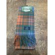 画像1: 【IMPORT】TARTAN WOOL SCARF (1)