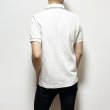 画像7: BEAGLE  POLO <BR>WHITE (7)